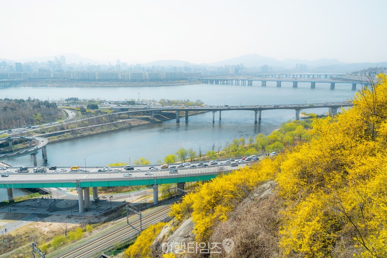 서울 응봉산 / 사진=게티이미지뱅크