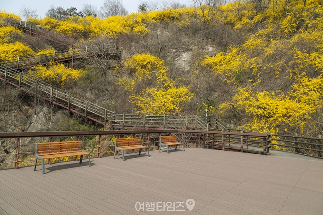 서울 응봉산 / 사진=게티이미지뱅크