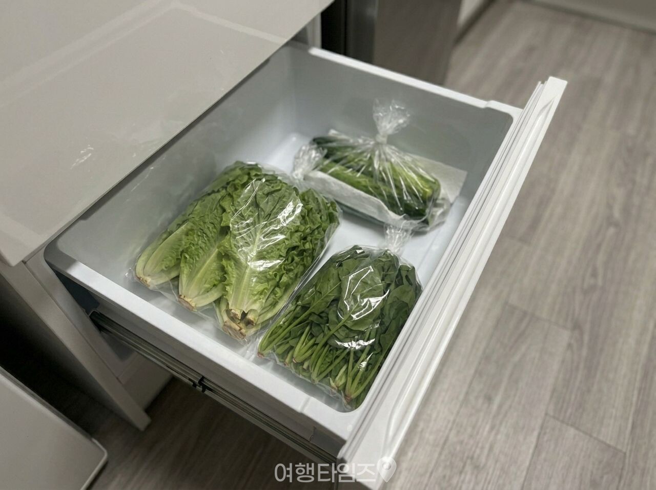 야채 채소 신선하게 보관 방법 / 사진=여행타임즈