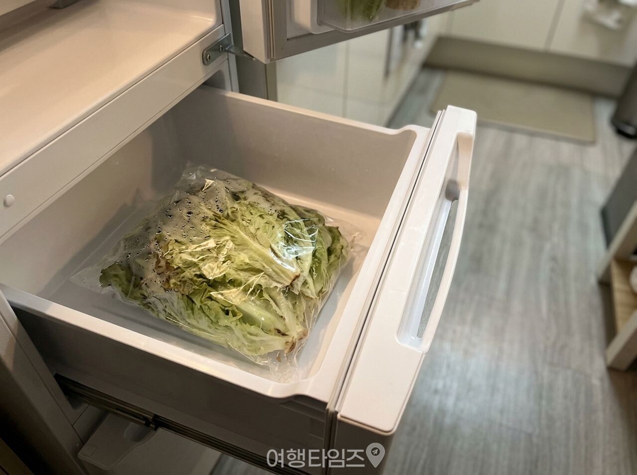 야채 채소 신선하게 보관 방법 / 사진=여행타임즈