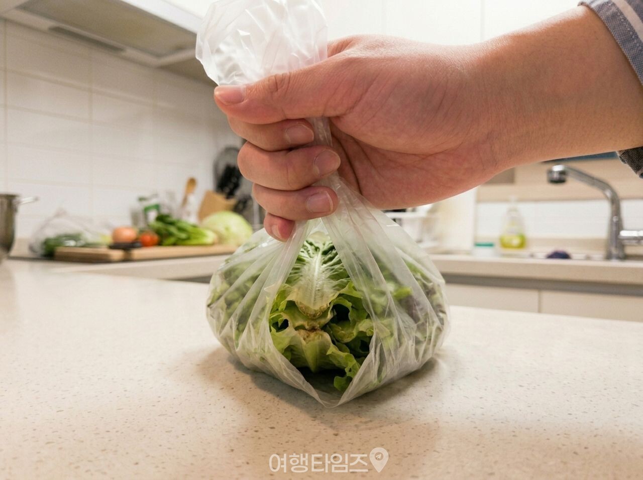 야채 채소 신선하게 보관 방법 / 사진=여행타임즈