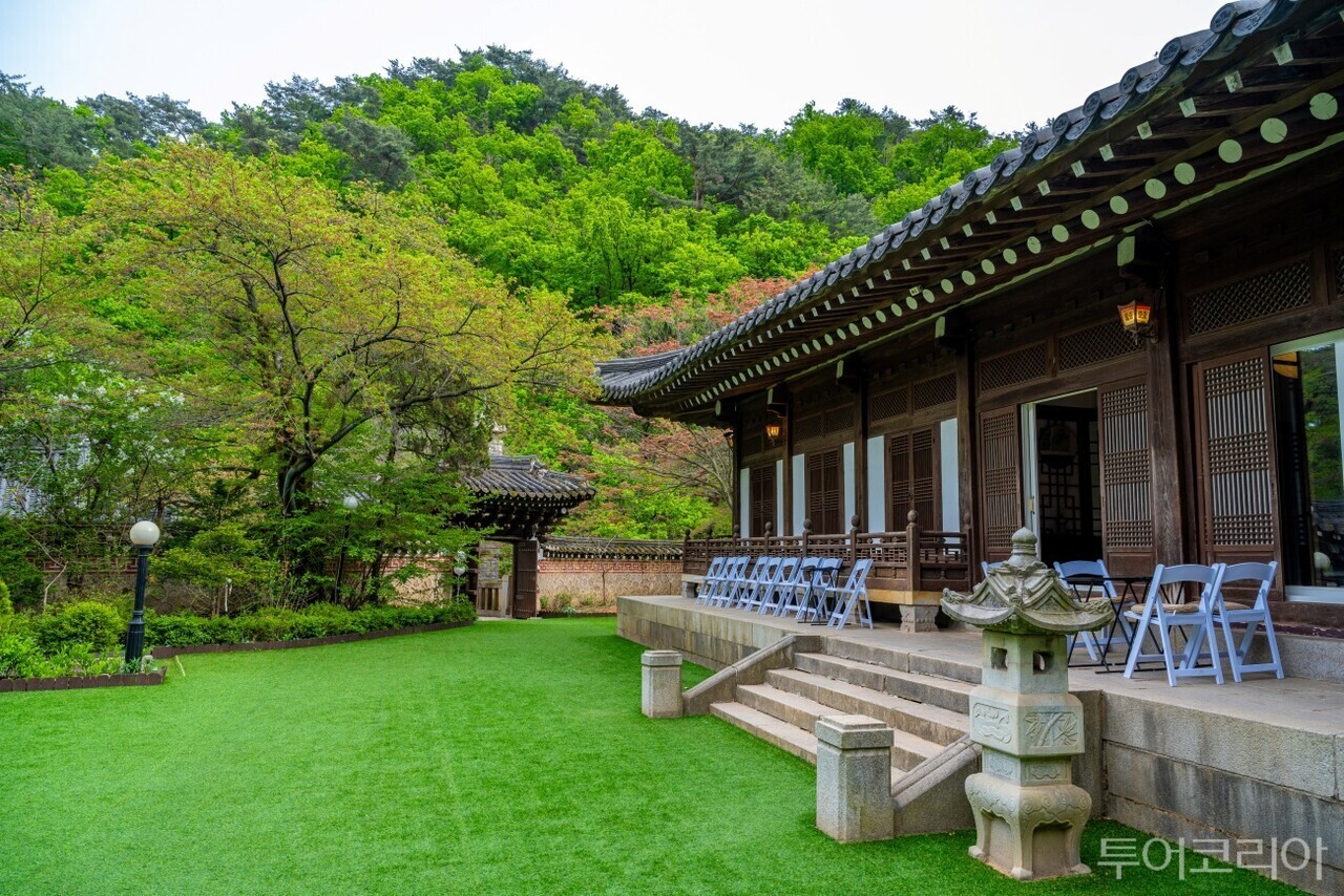 선운각 입구의 돌담과 박석   신록이 드리운 선운각 한옥마당   / 사진-서울관광재단