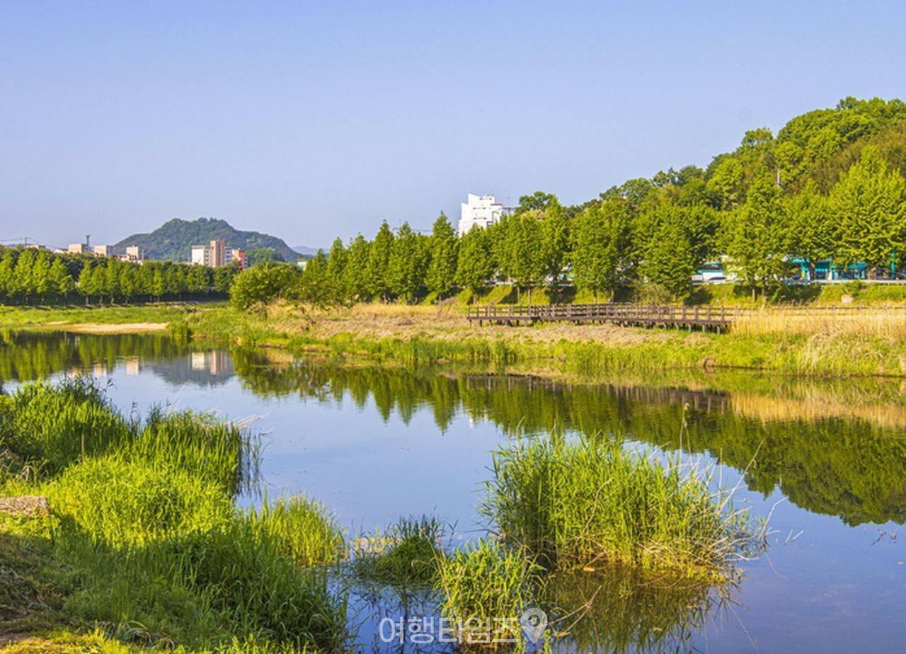 핫들생태공원 / 사진=게티이미지뱅크
