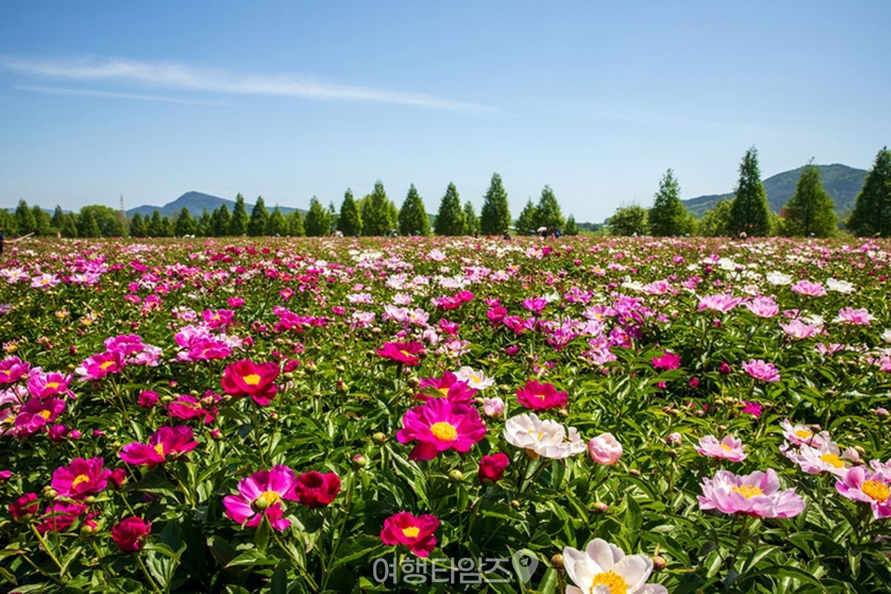 핫들생태공원 / 사진=게티이미지뱅크