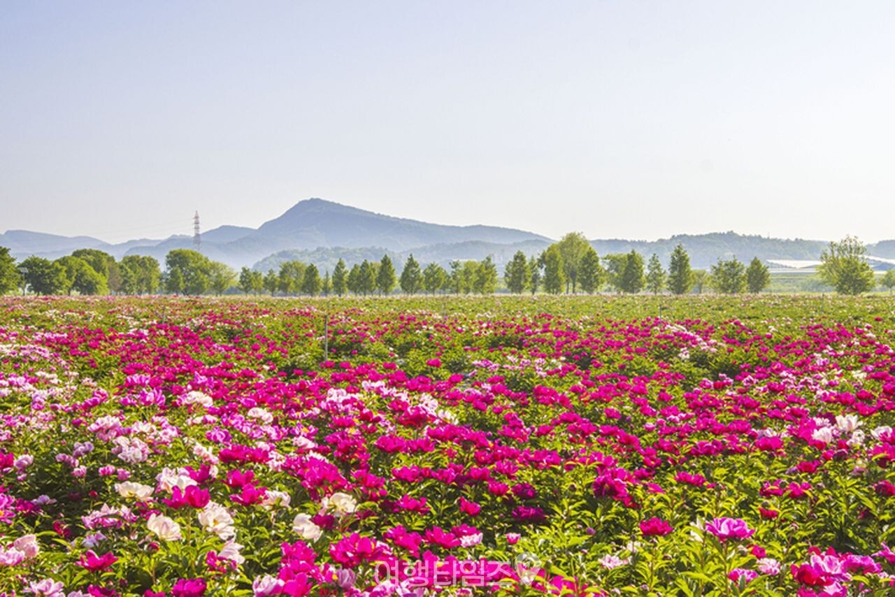 핫들생태공원 / 사진=게티이미지뱅크