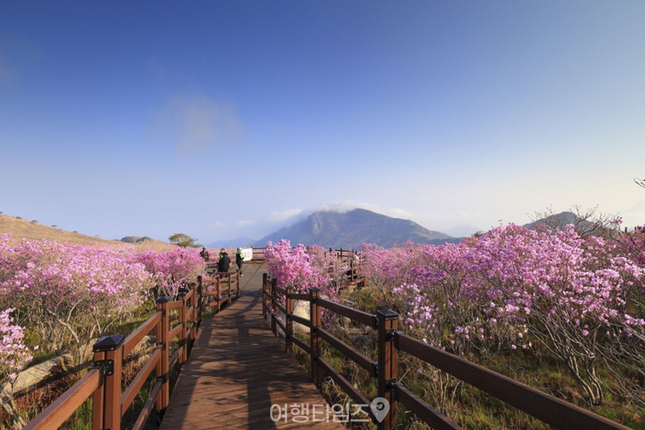 비슬산 / 사진=게티이미지뱅크