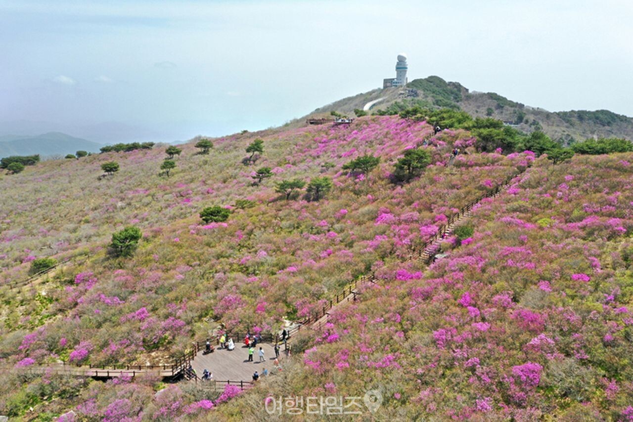 비슬산 / 사진=게티이미지뱅크