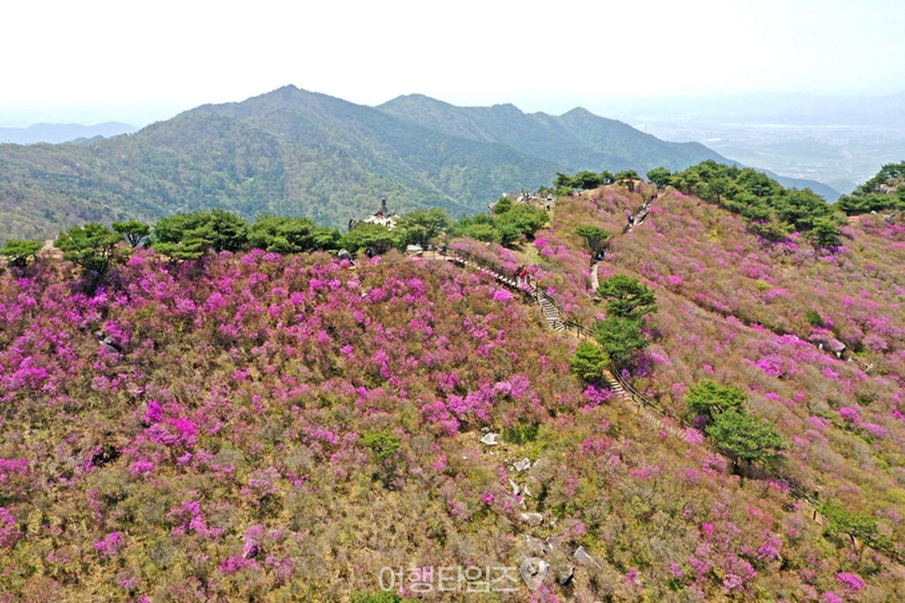 비슬산 / 사진=게티이미지뱅크