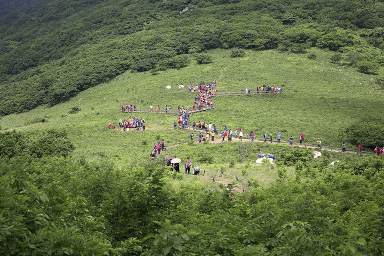 곰배령 / 사진=게티이미지뱅크