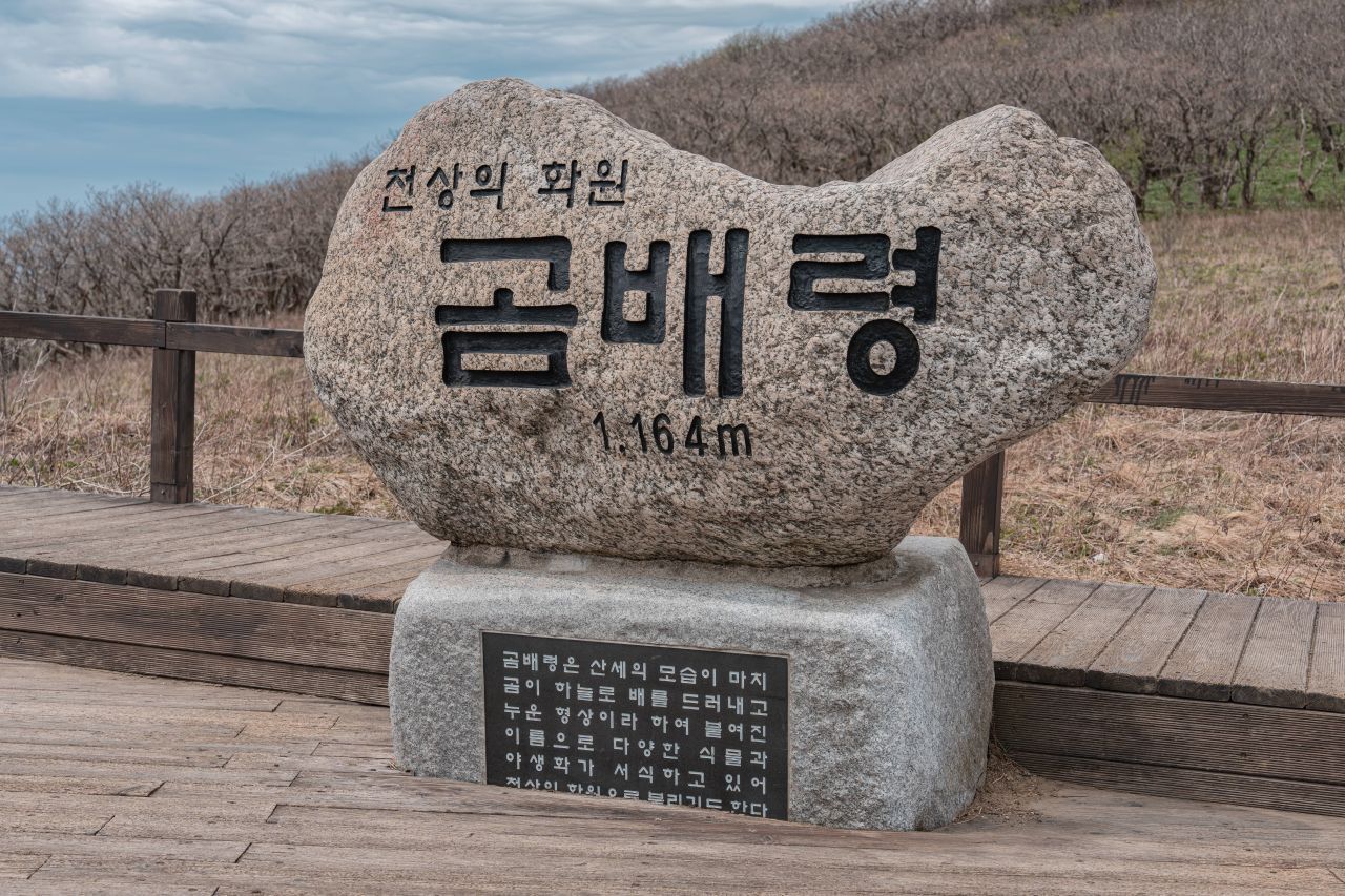 곰배령 / 사진=게티이미지뱅크
