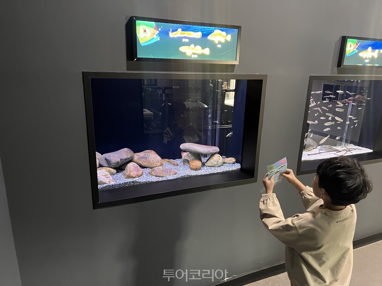   민물고기 스티커를 들고 북벽물고기정원을 탐험하는 아이 /사진-단양군