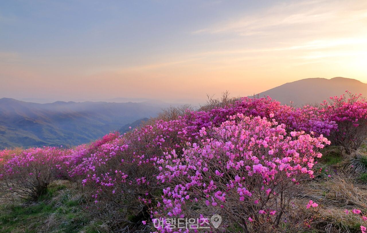 지리산 노고단 / 사진=게티이미지뱅크