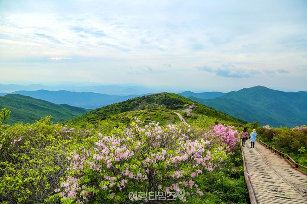 지리산 노고단 / 사진=게티이미지뱅크