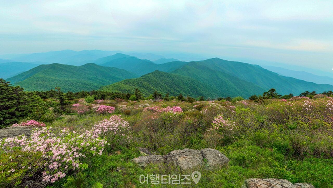 지리산 노고단 / 사진=게티이미지뱅크