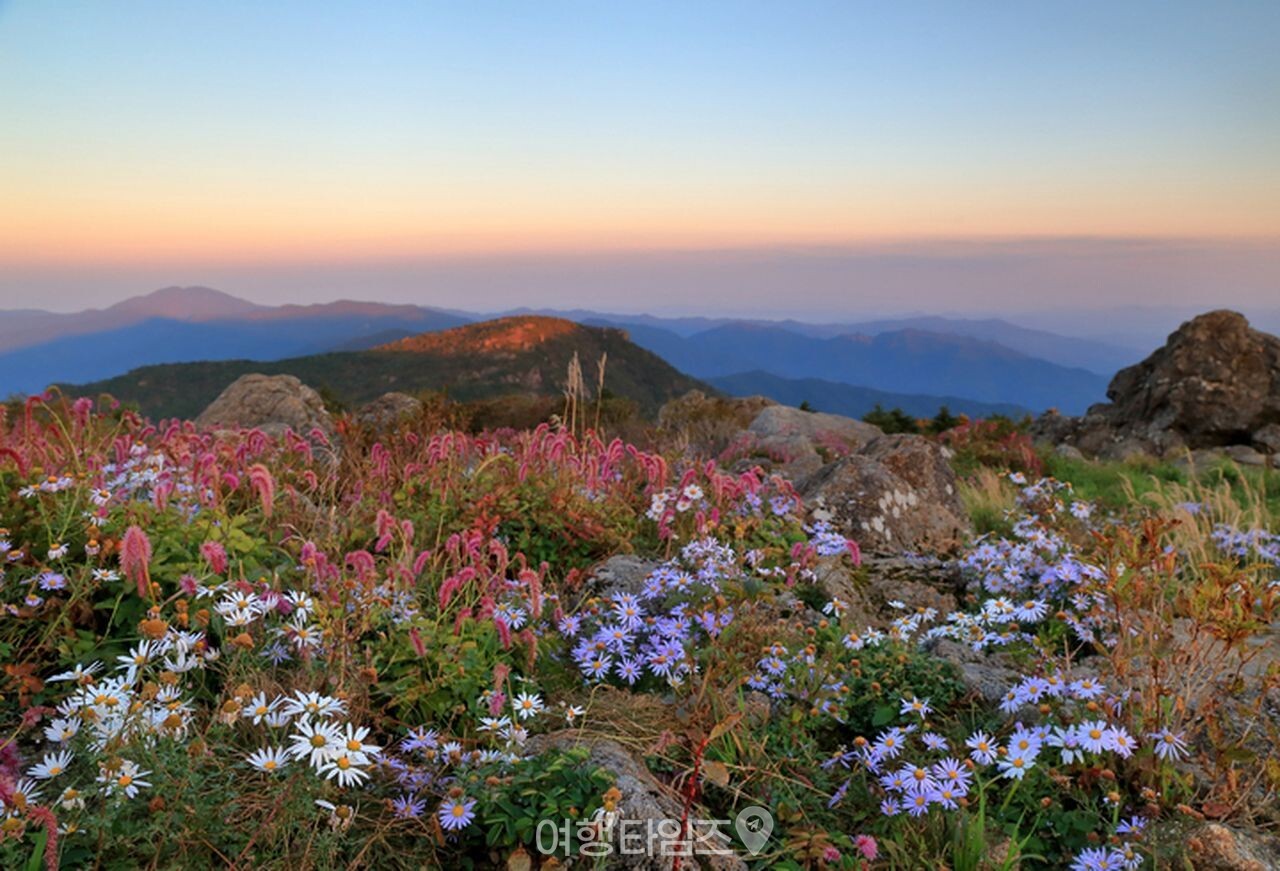 지리산 노고단 / 사진=게티이미지뱅크