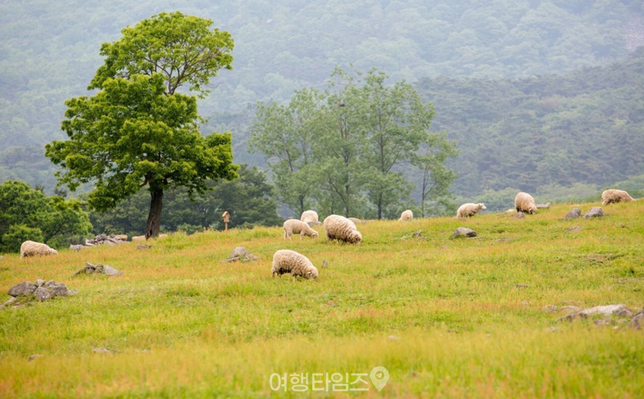 무등산 / 사진=게티이미지뱅크