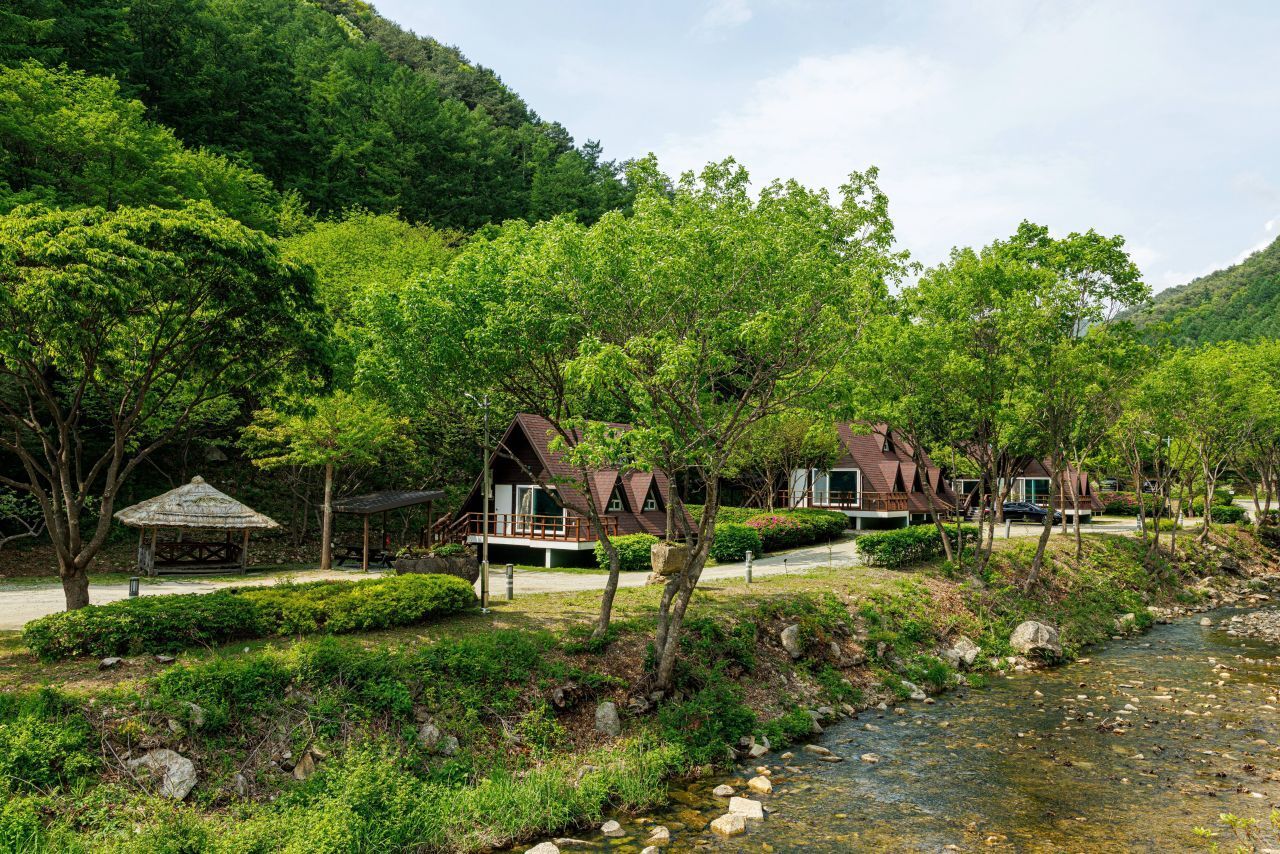 광치자연휴양림 / 한국관광공사-손명권