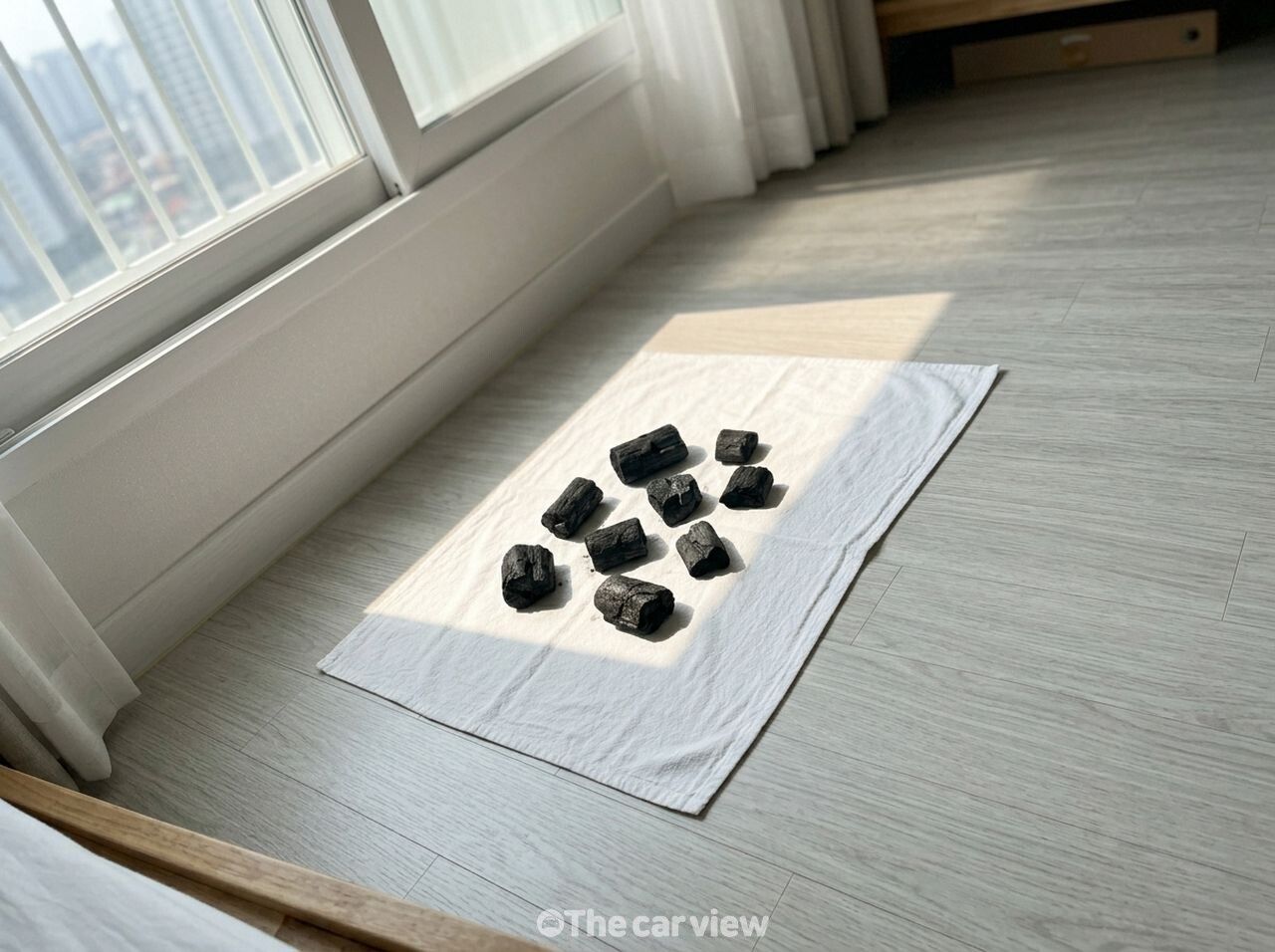 옷장 숯 곰팡이 예방 / 사진=더카뷰