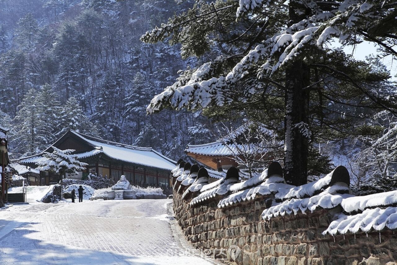 만항재  / 사진=게티이미지뱅크