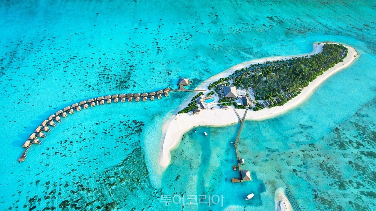 코쿤 몰디브  /사진-투어민