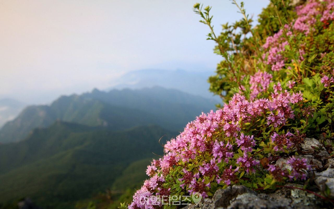 가야산 / 사진=게티이미지뱅크