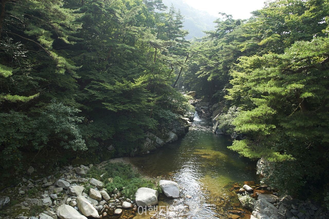가야산 / 사진=게티이미지뱅크