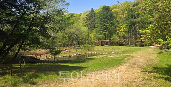 사진 / 파주 삼릉 숲길_궁능유적본부 제공