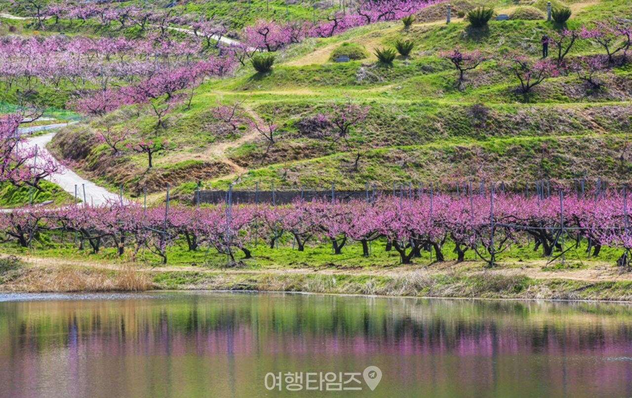 반곡지 / 사진=게티이미지뱅크