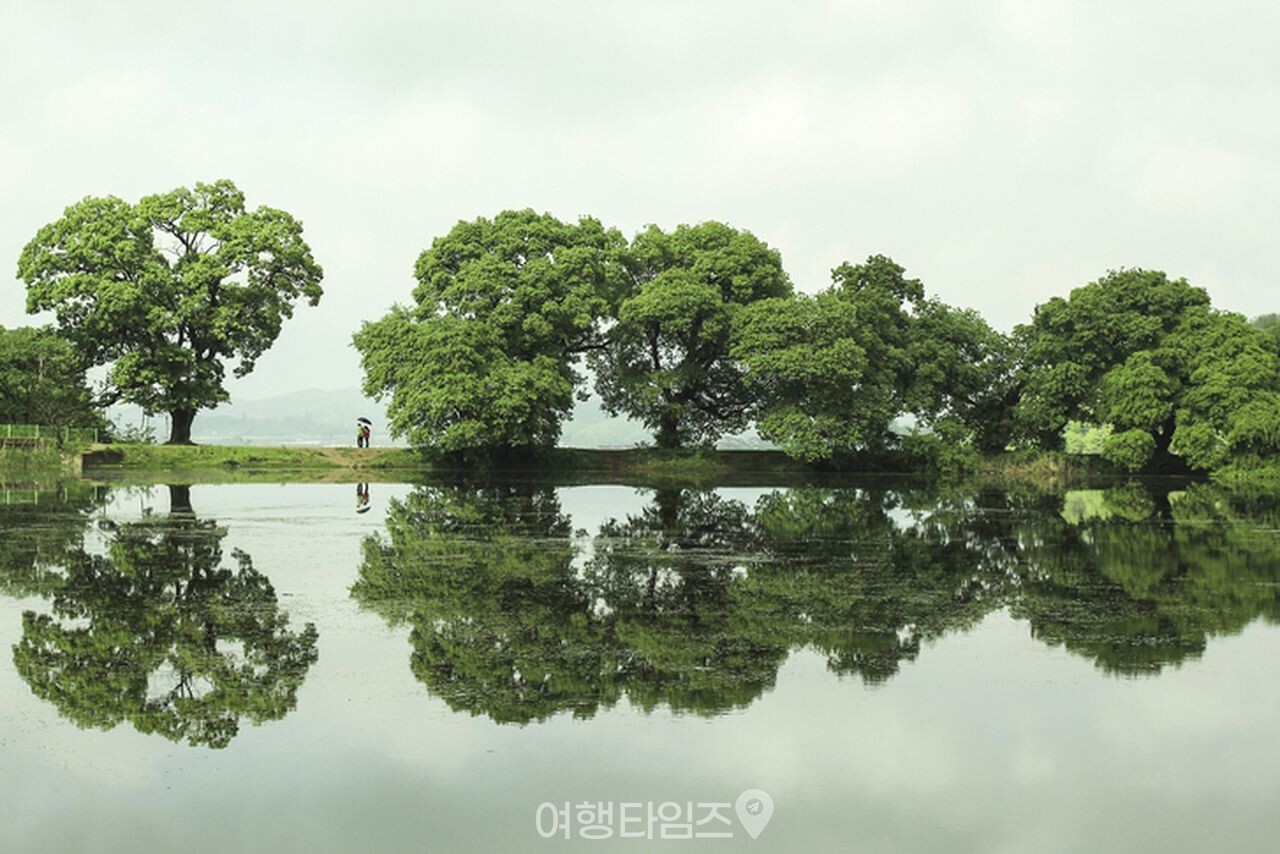 반곡지 / 사진=게티이미지뱅크