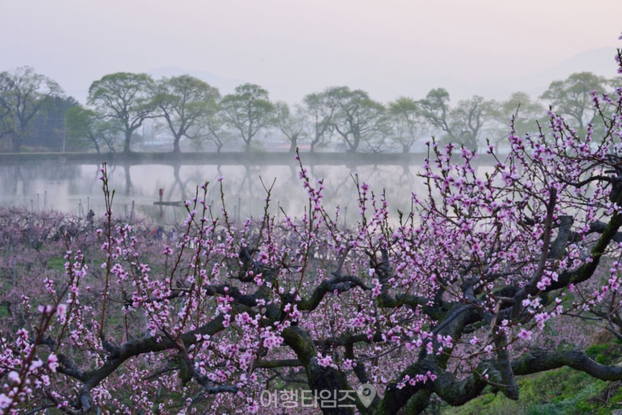 반곡지 / 사진=게티이미지뱅크