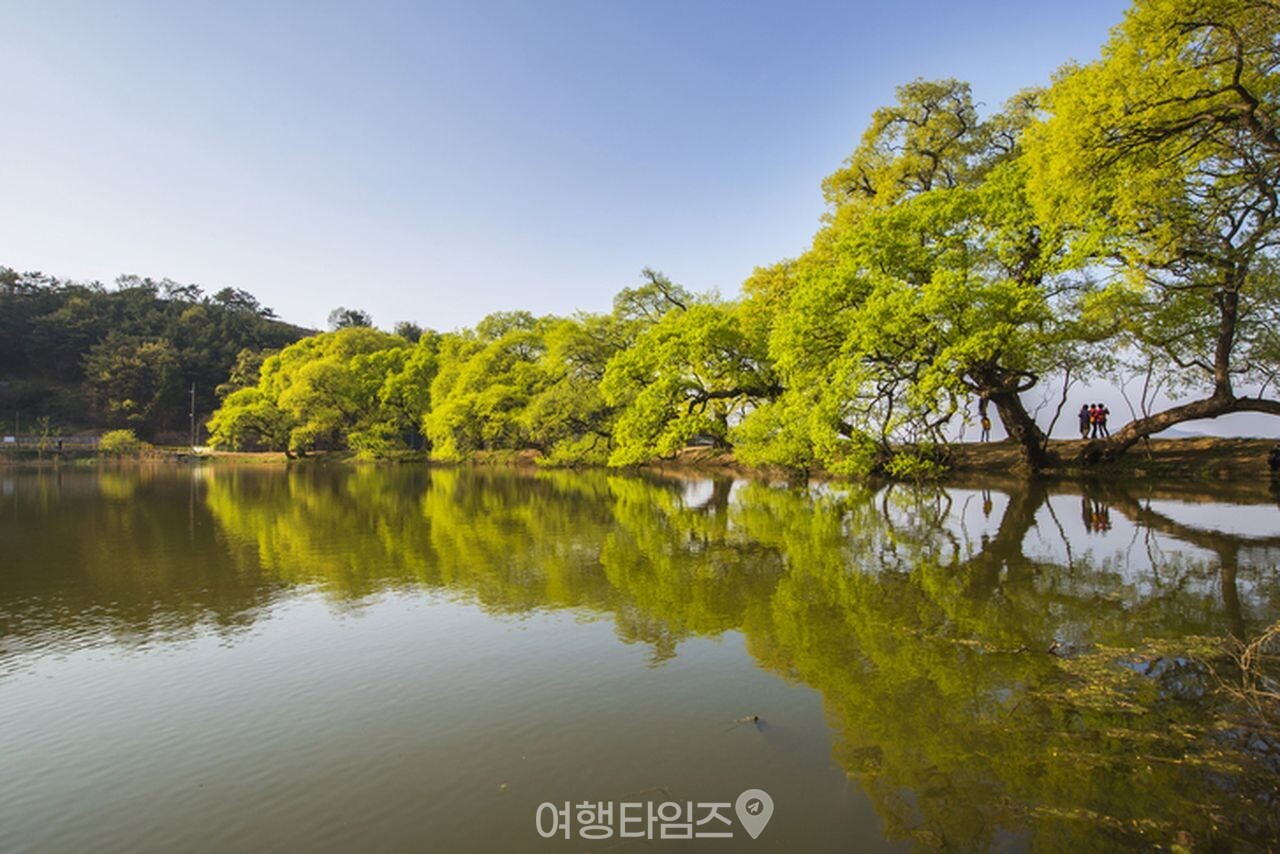 반곡지 / 사진=게티이미지뱅크
