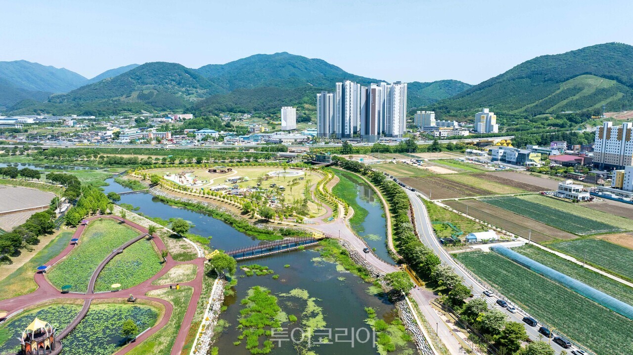 장성 황미르랜드 전경  황룡강 한 가운데 있는 하중도(河中島)다 /사진-장성군 제공