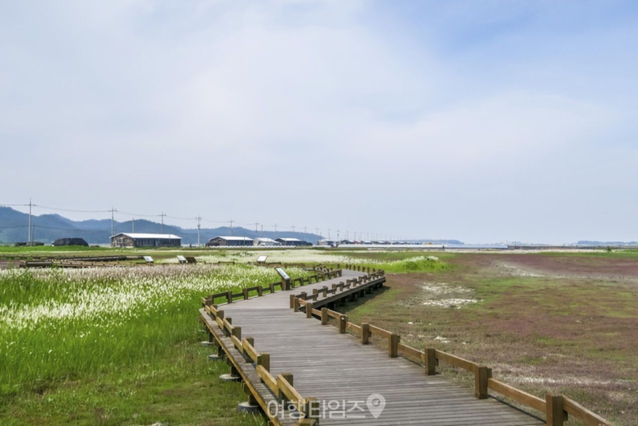신안 증도 / 사진=게티이미지뱅크