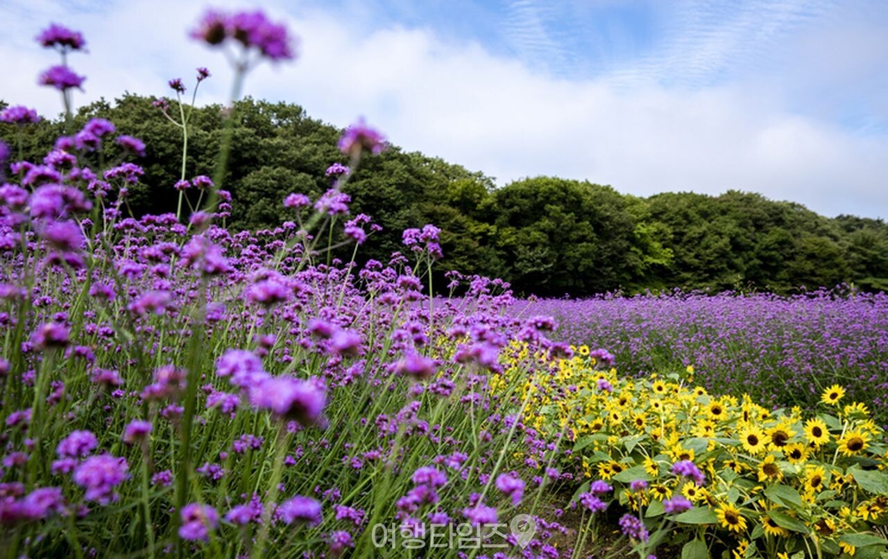 상림공원 / 사진=게티이미지뱅크