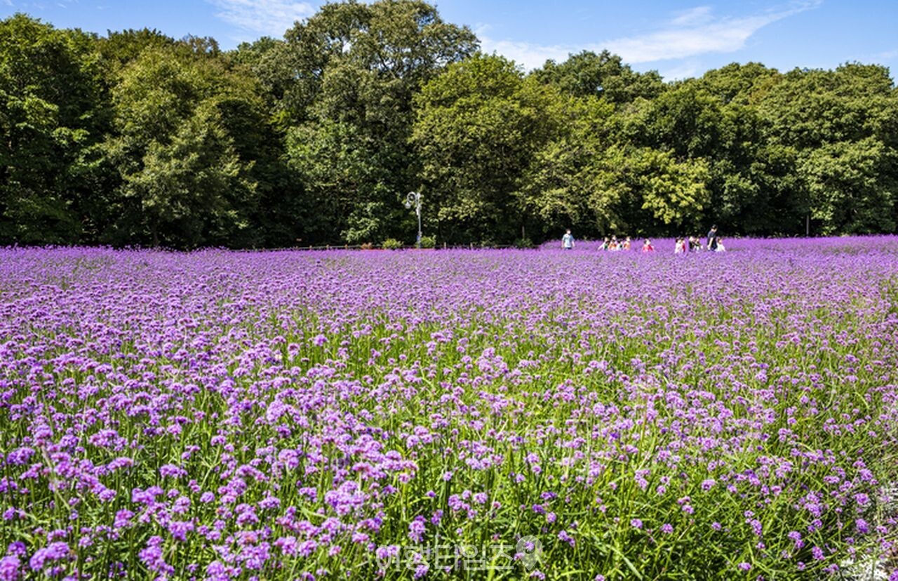 상림공원 / 사진=게티이미지뱅크