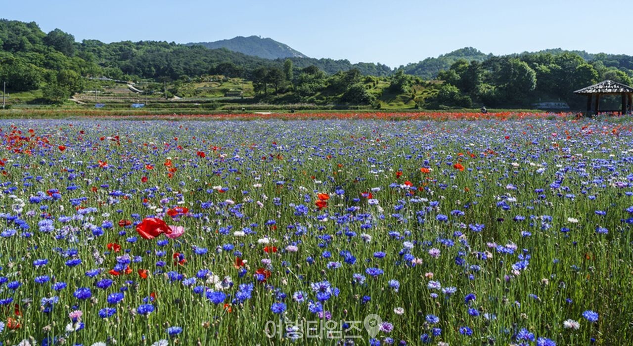 상림공원 / 사진=게티이미지뱅크