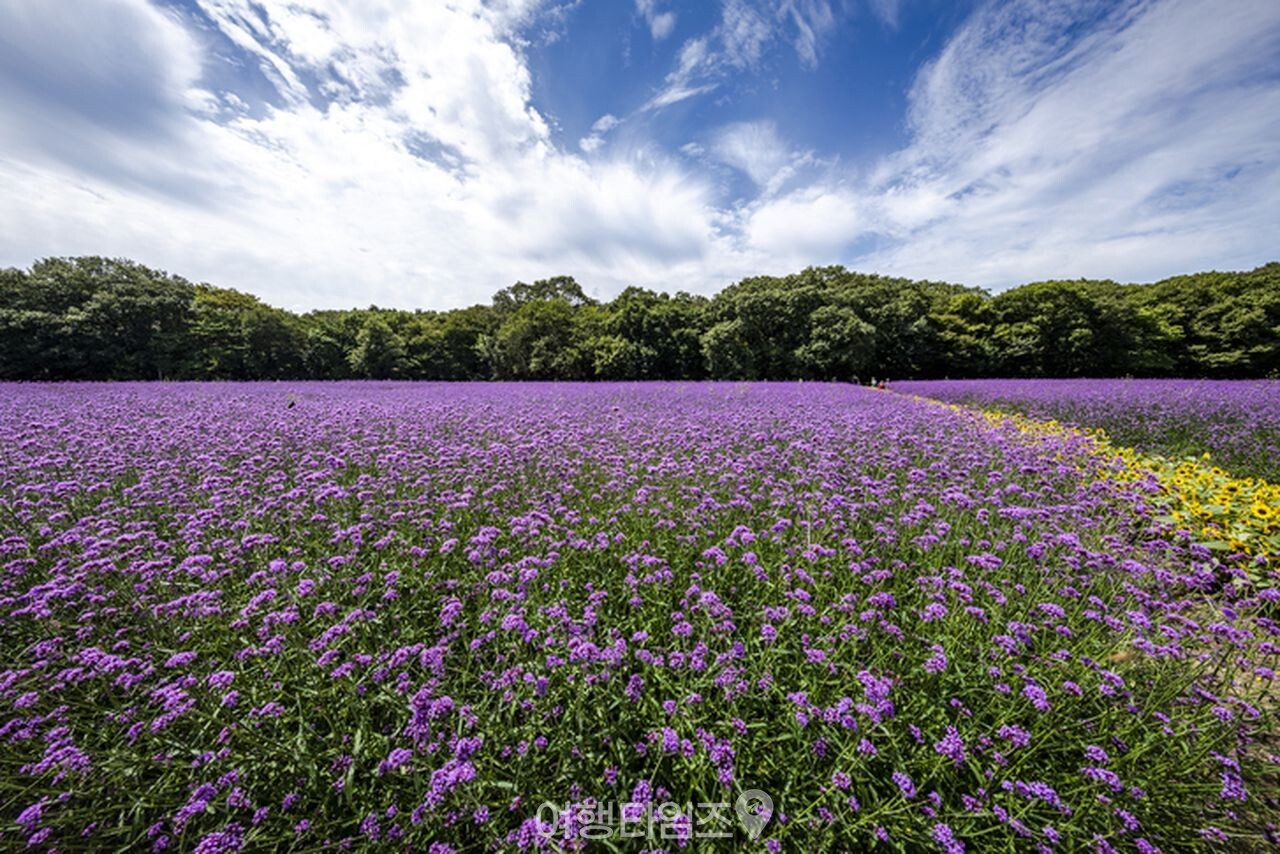 상림공원 / 사진=게티이미지뱅크