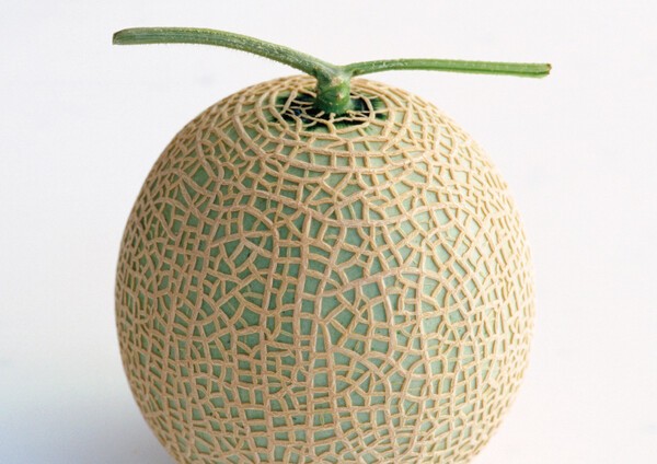 fruits-aoki