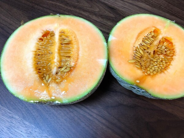 oat-agrio