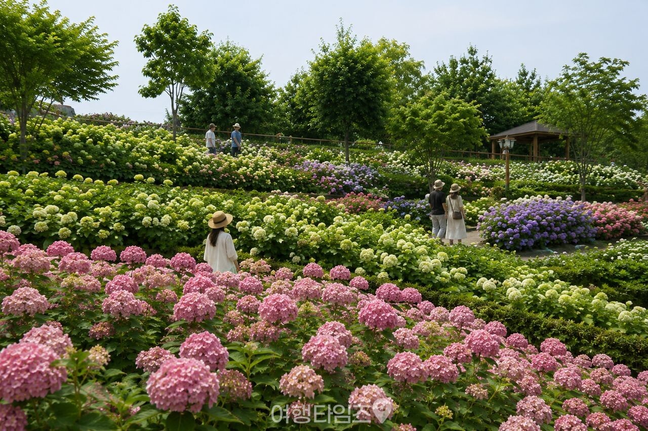 유구색동수국정원 / 사진=게티이미지뱅크
