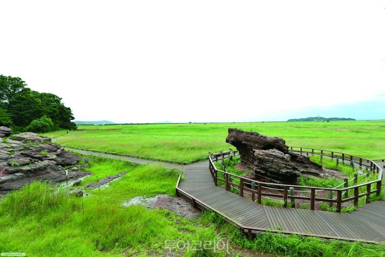 공룡알화석산지 / 사진-화성시