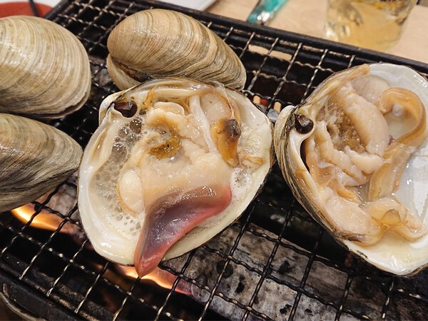 jf-mukawa