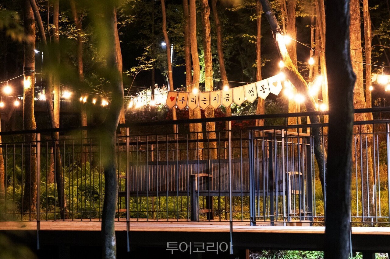  영흥수목원 야간/사진-수원시