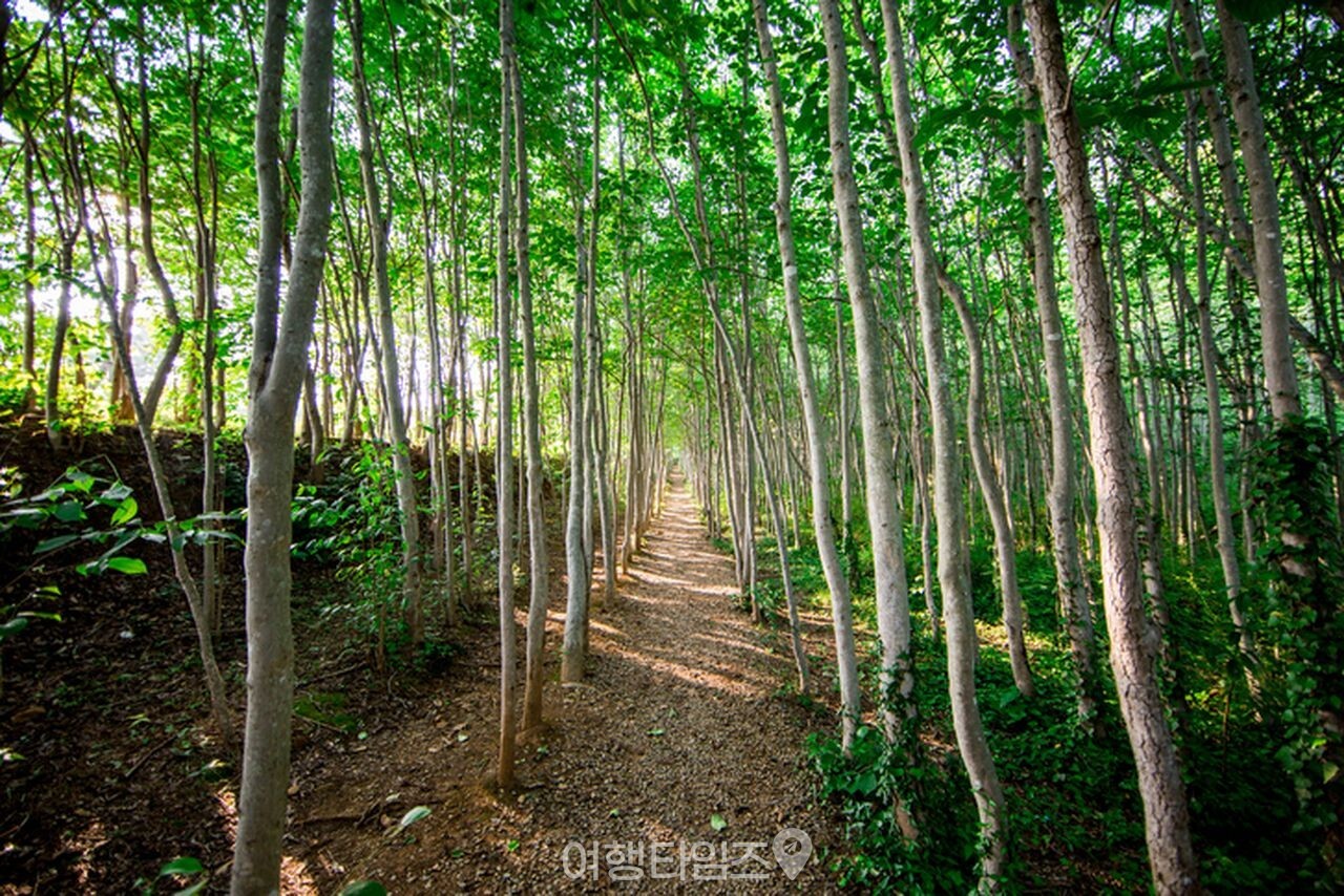 다산초당 / 사진=게티이미지뱅크