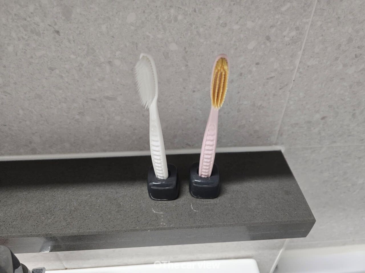 화장실 변기 세균 칫솔 보관 / 사진=더카뷰