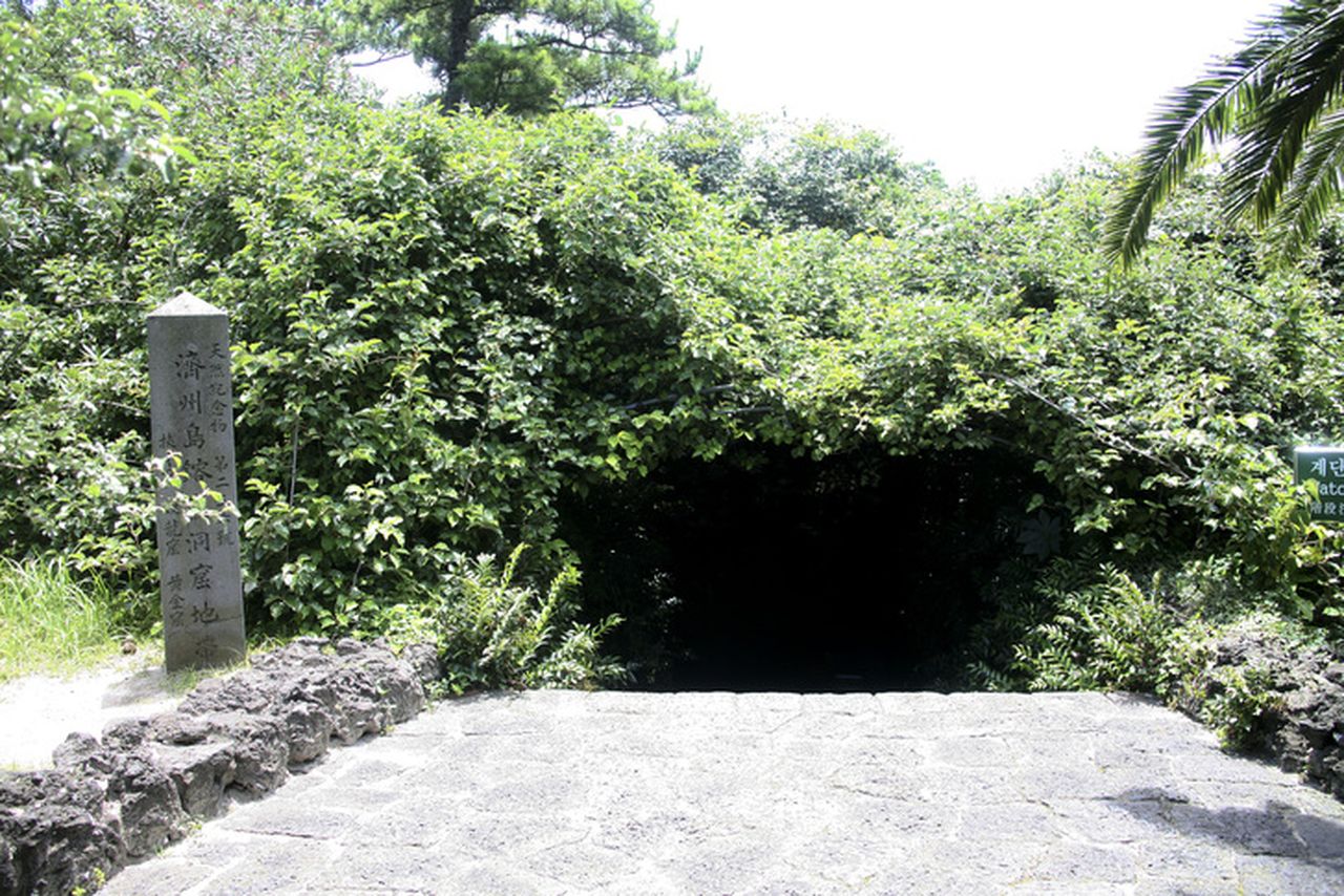 한림공원 / 사진=게티이미지뱅크