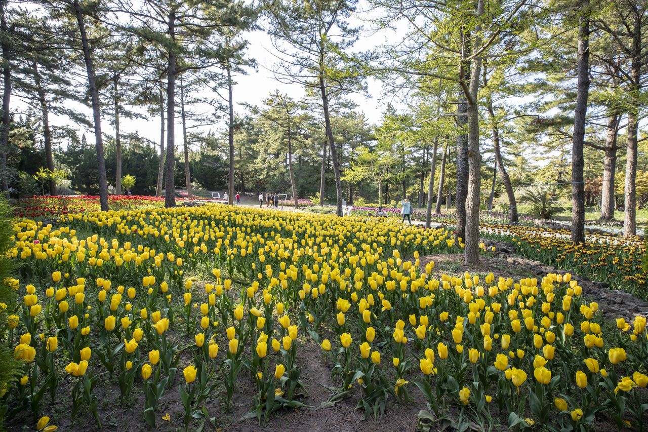 한림공원 / 한국관광공사-이범수