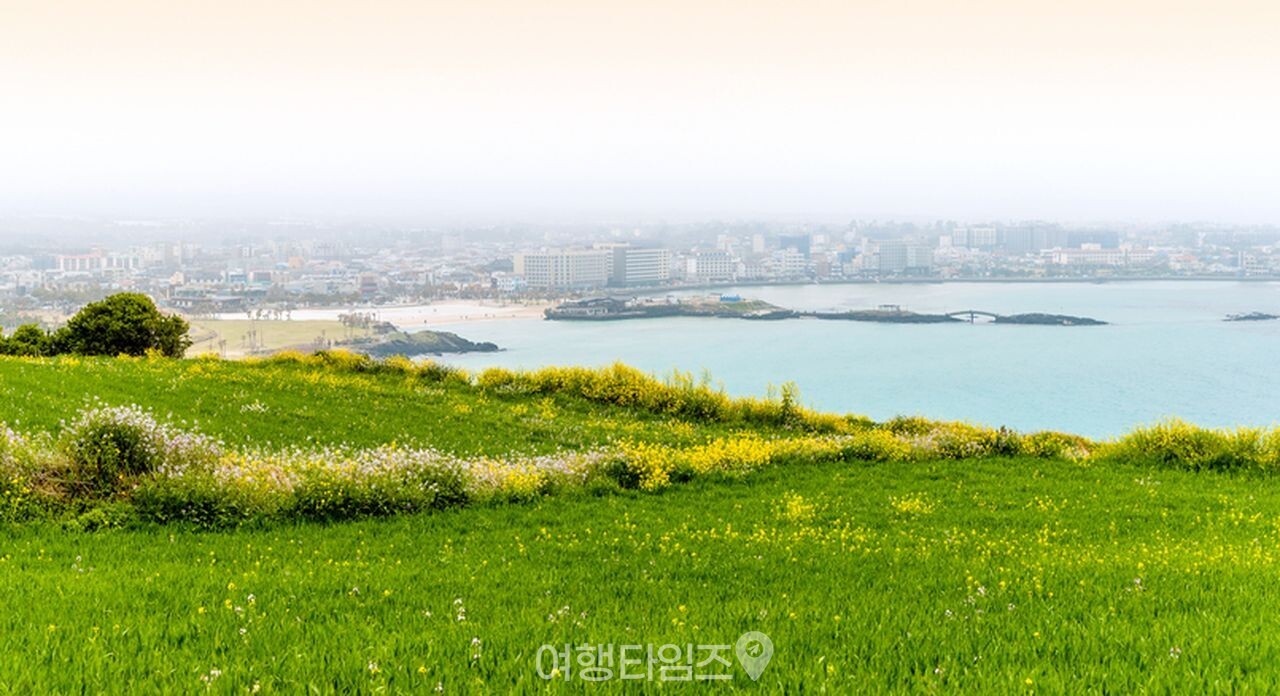 함덕해수욕장 / 사진=게티이미지뱅크