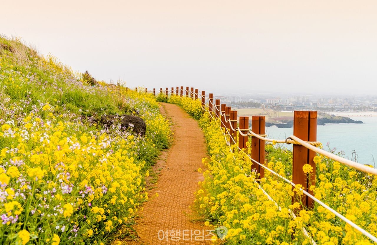 서우봉 산책로 / 사진=게티이미지뱅크