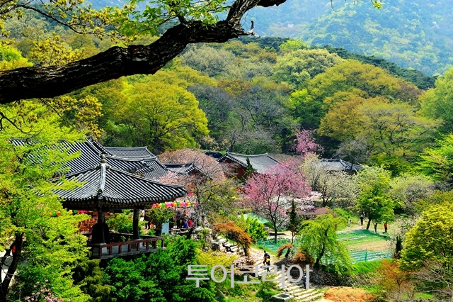 서산 4경 개심사  /서산시 제공